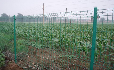 铁路护栏网是重要的交通基础设施